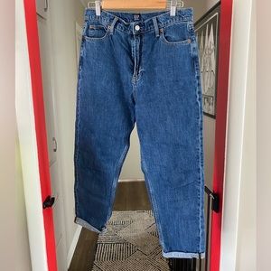 GAP Denim Size 10/30 Mom Jean
